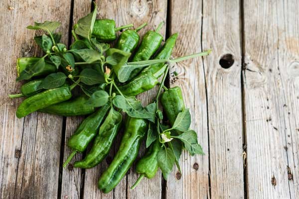 Portugal_June2017-223_optim