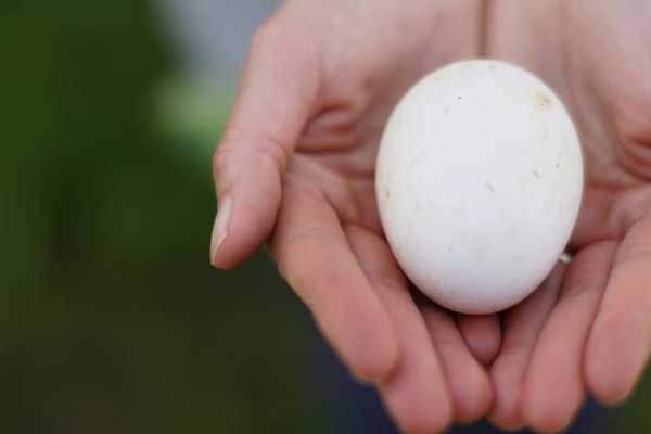 sheperds-hut23_optim